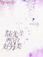 《陆先生的告白好另类》小说封面