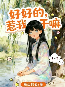 《好好的,惹我干嘛》小说封面