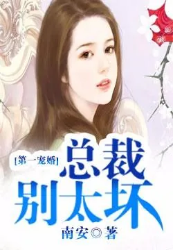 《第一宠婚:总裁别太坏》小说封面