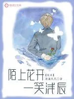 《陌上花开，一笑浅辰》小说封面