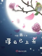 《浮云已上天》小说封面