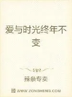 《爱与时光终年不变》小说封面