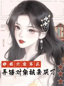 《睁眼六零军区，弄错对象被亲哭了》小说封面