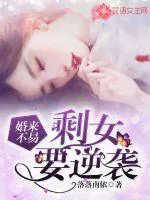 《婚来不易:剩女要逆袭》小说封面