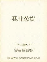 《我非怂货》小说封面