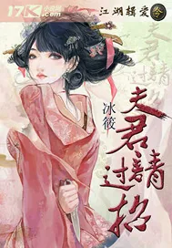 《江湖缉爱令:夫君,请过招》小说封面