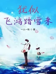 《犹似飞鸿踏雪来》小说封面
