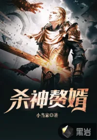 《杀神赘婿》小说封面