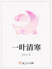《一叶清寒》小说封面