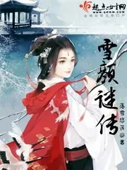 《雪颜谜传》小说封面