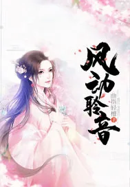 《风动聆音》小说封面