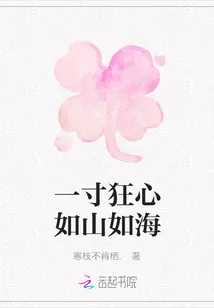 《一寸狂心如山如海》小说封面
